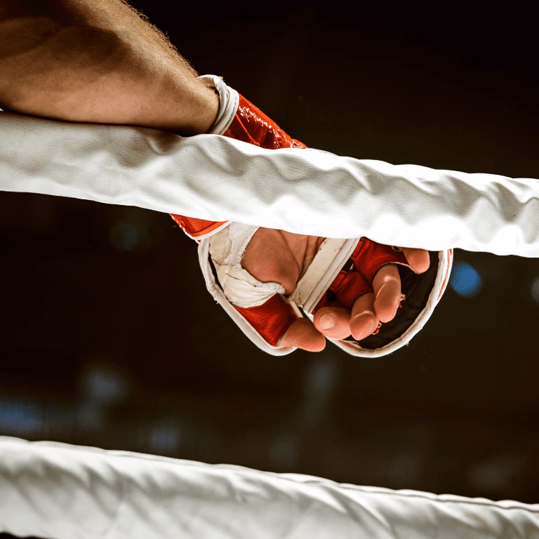 Pronosticos de Boxeo